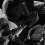 20080628-The-Triumph-A0028