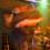 goldteeth_20070506_0033
