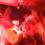 junius-plush-tucson-007